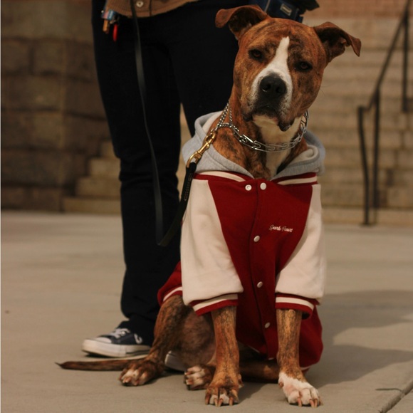 BJ’s Second Chance - Picture 4 of 4